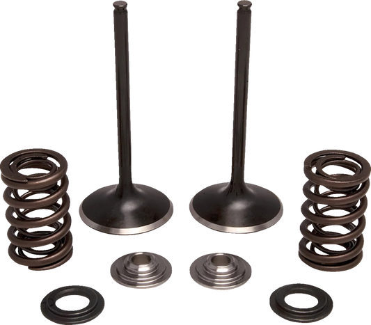 Valve and Spring Kit