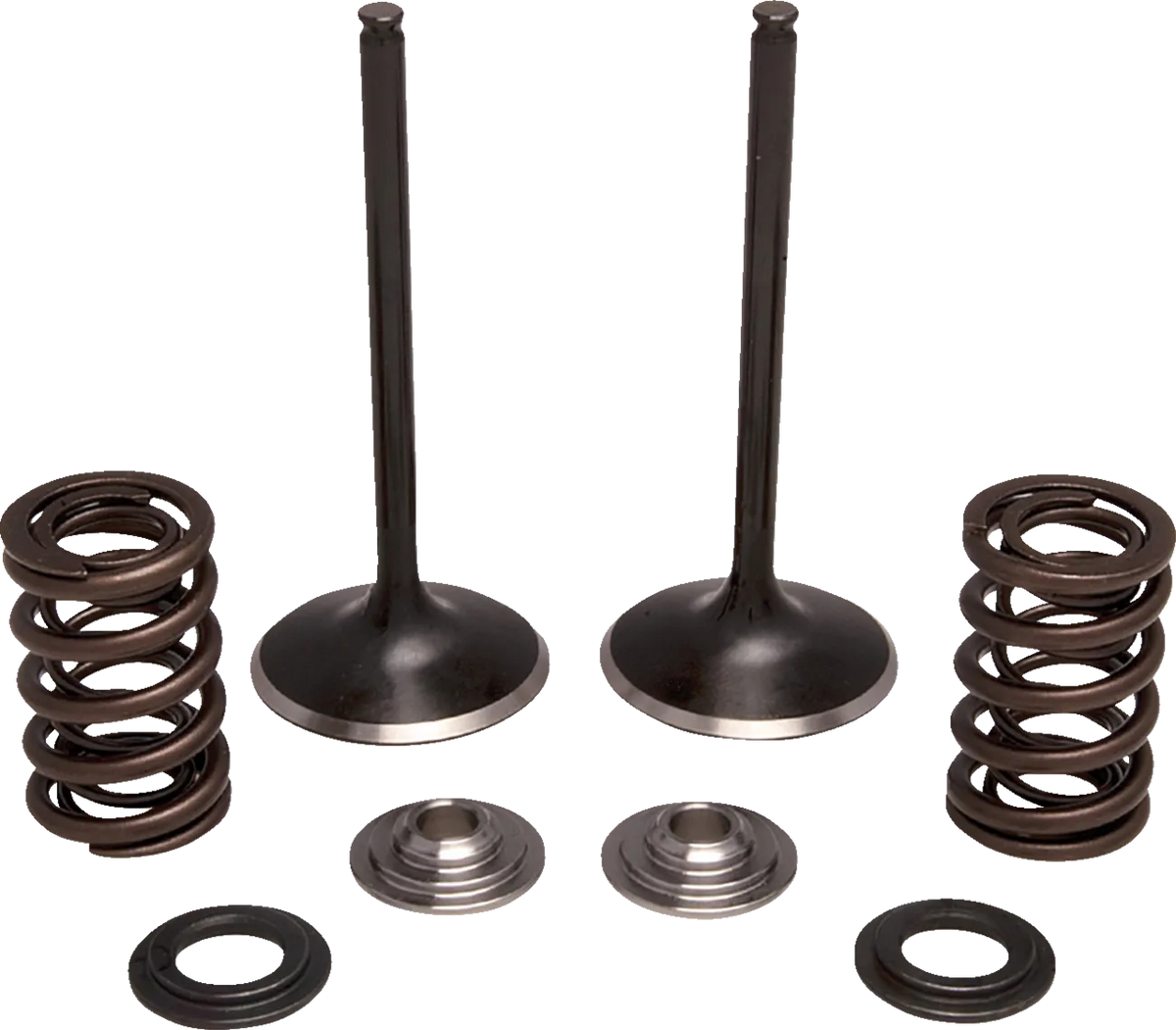 Valve and Spring Kit