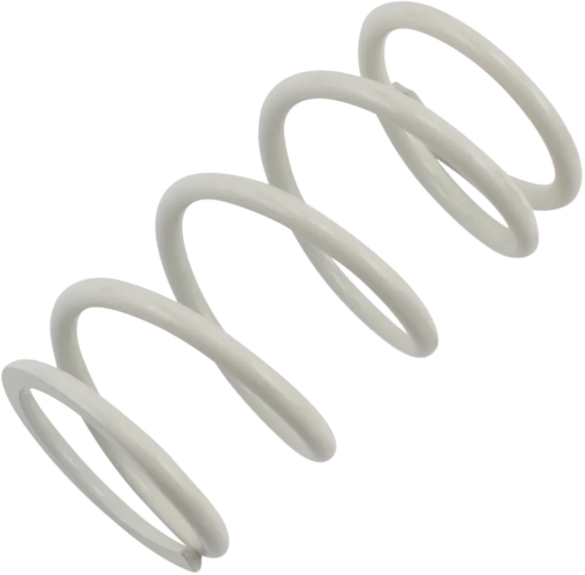 Primary Clutch Spring