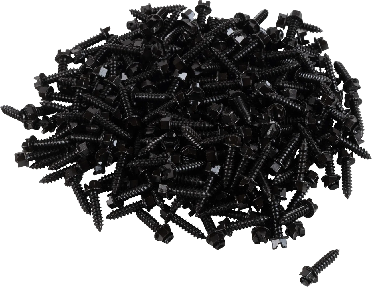AMA Race Legal Traction Screws