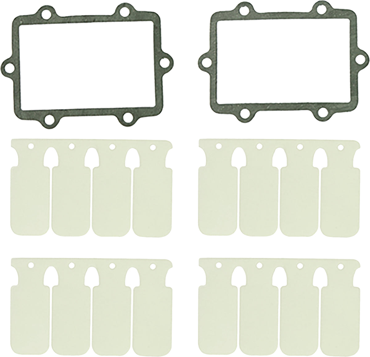 Reed Valve Rebuild Kit
