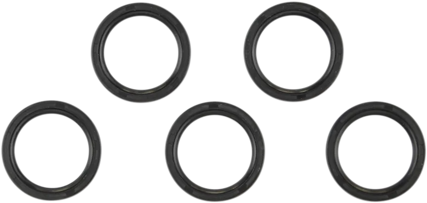 Main Shaft Seal