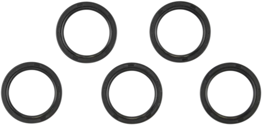 Main Shaft Seal