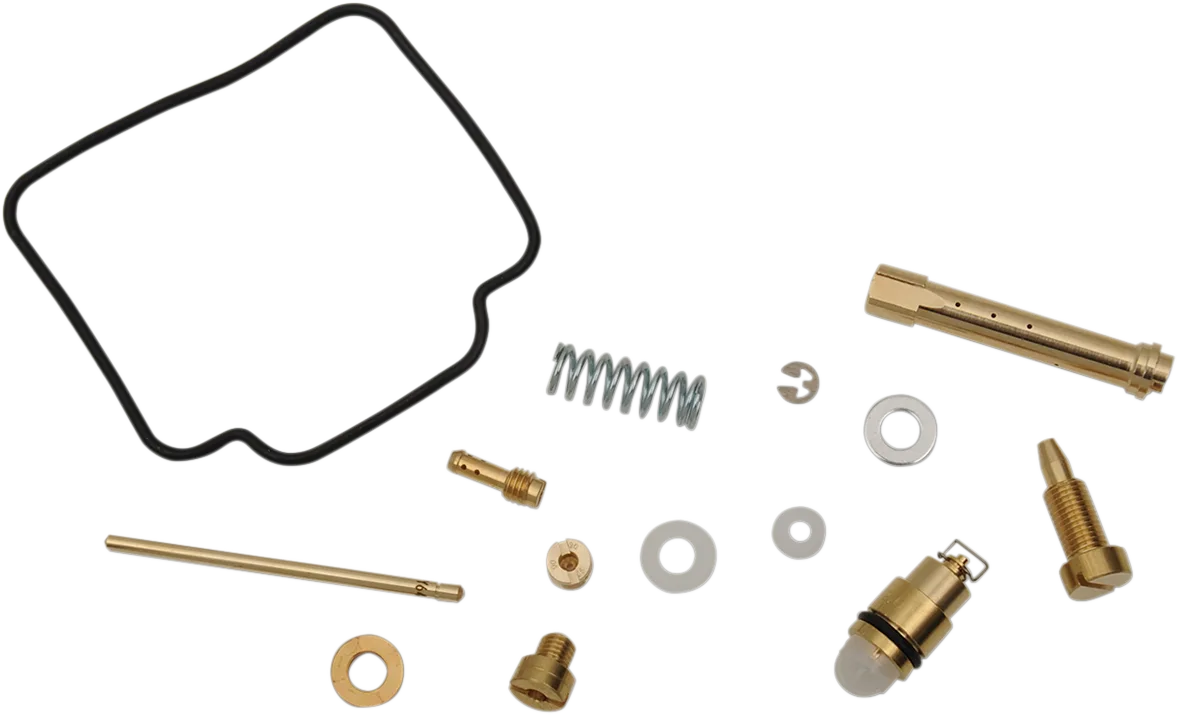 Carburetor Repair Kit