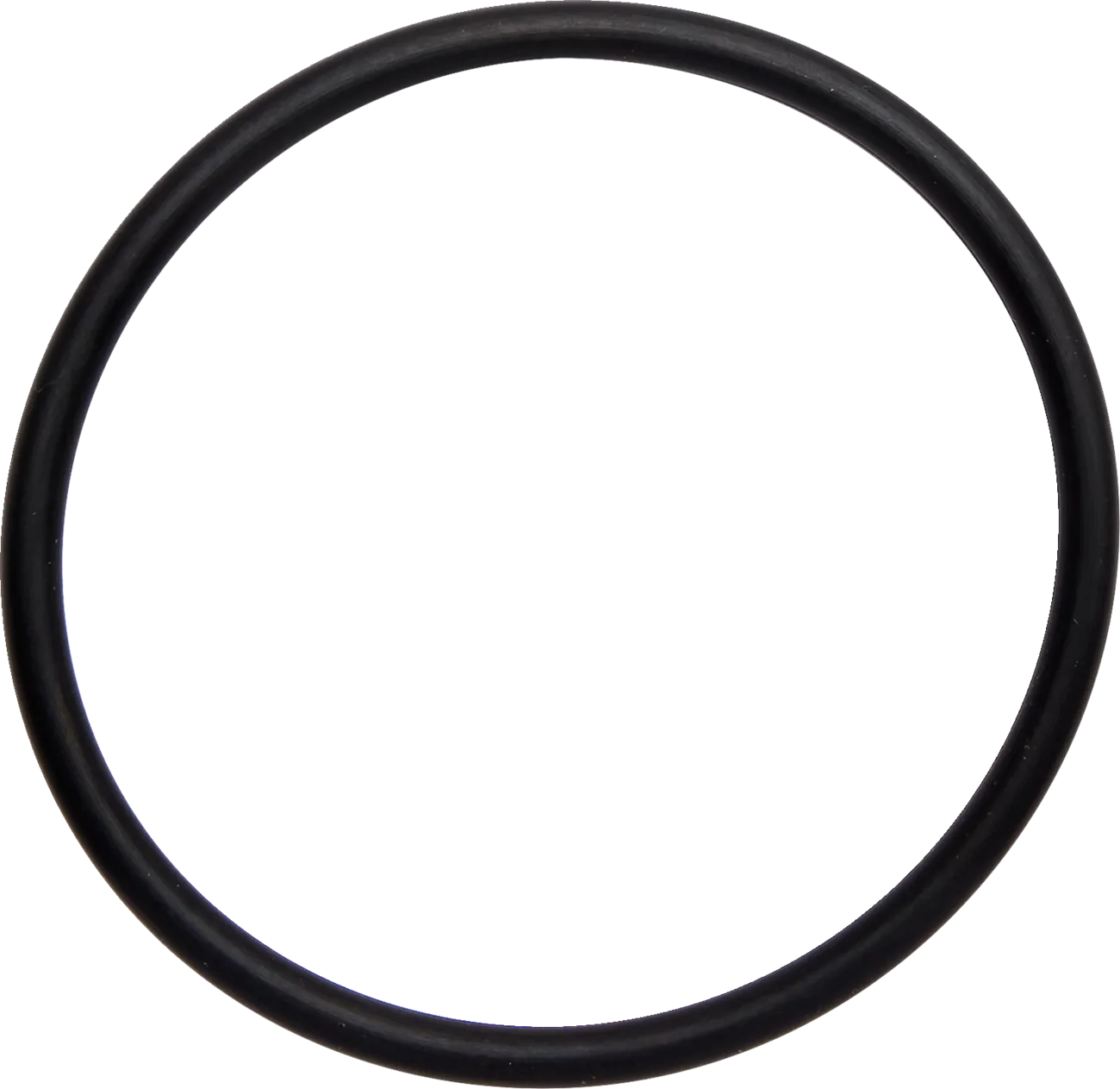 Exhaust O-Rings