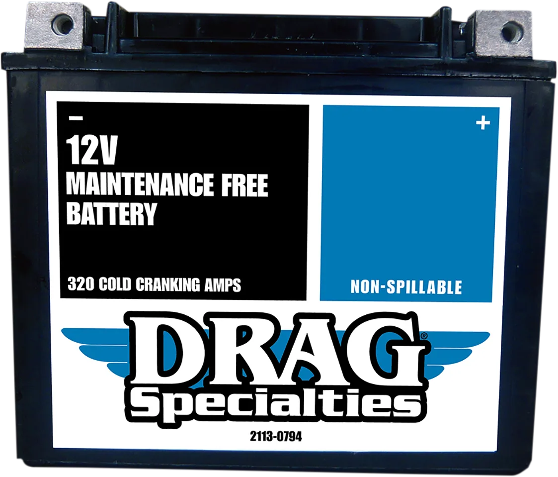 Factory-Activated High-Performance AGM Maintenance-Free Battery