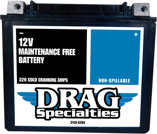 Factory-Activated High-Performance AGM Maintenance-Free Battery