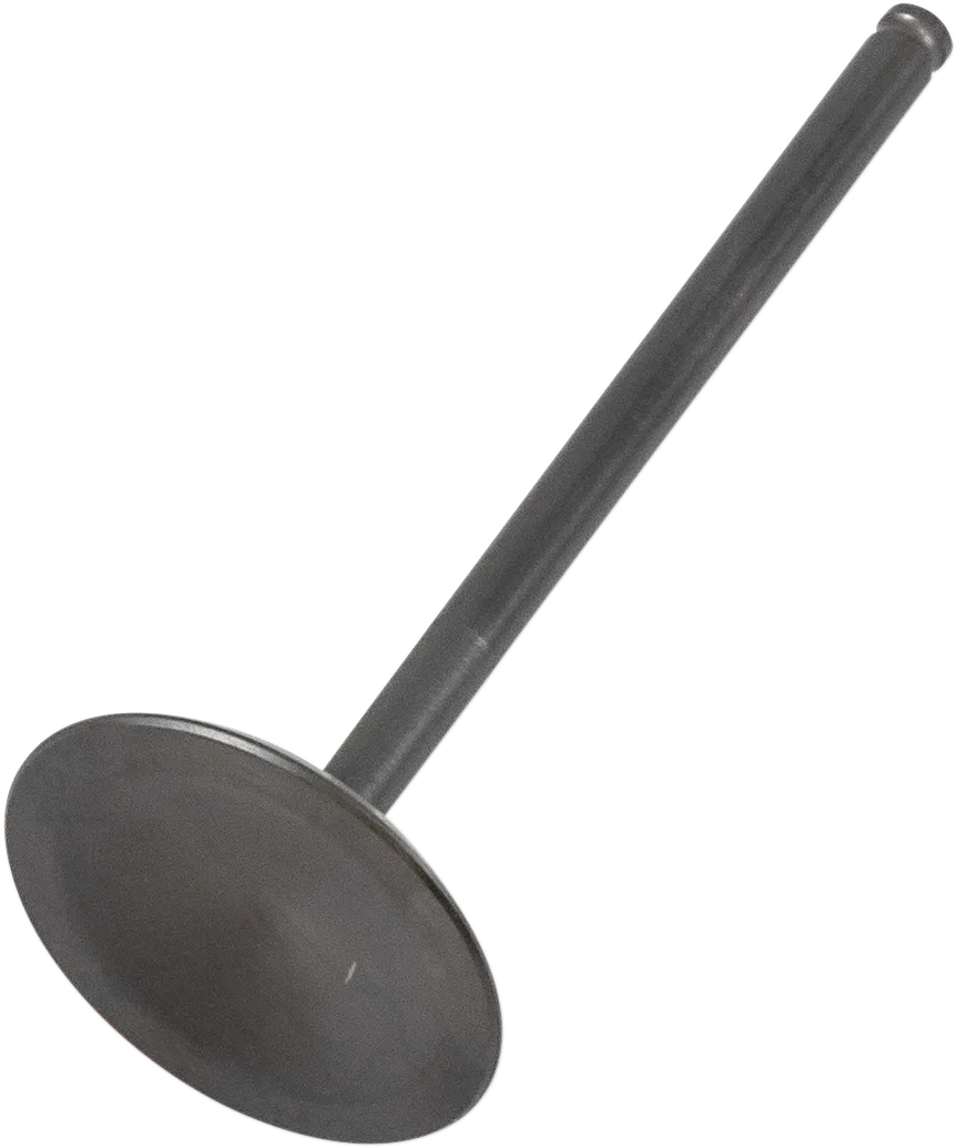 Black Diamond™ Engine Valve