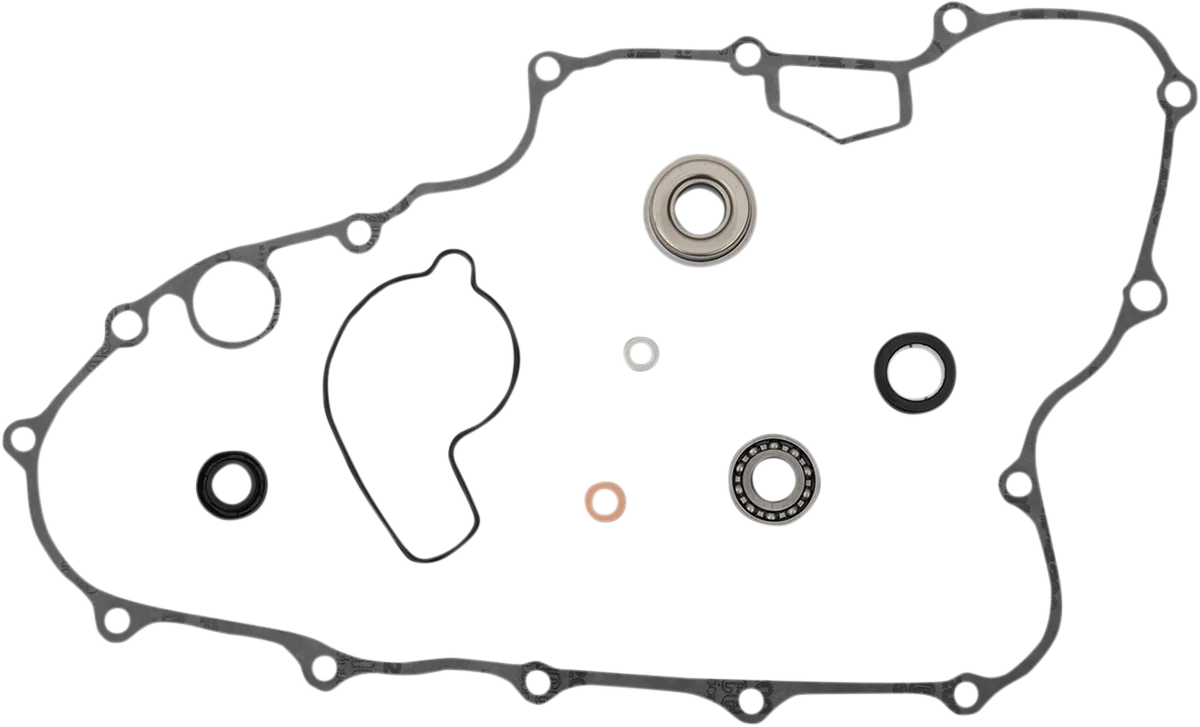 Water Pump Rebuild Kit