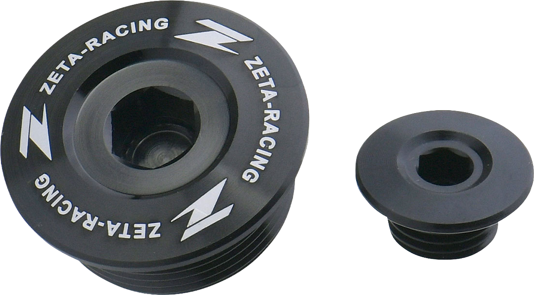 Engine Plug
