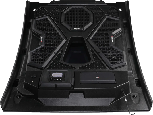 Audio Roof System