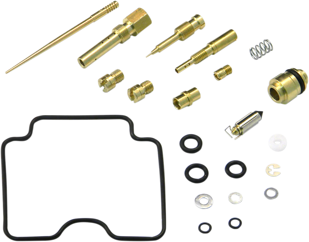 Carburetor Repair Kit