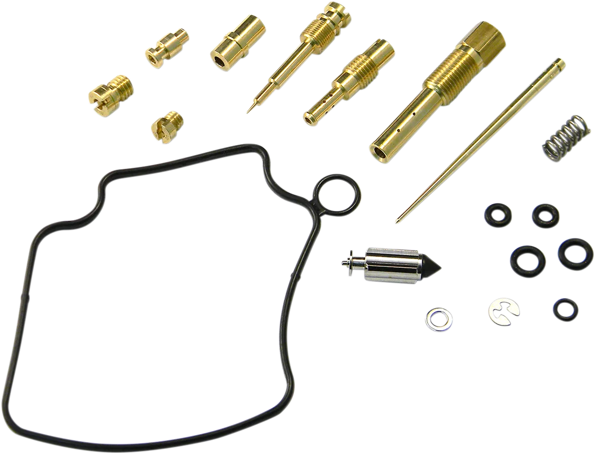 Carburetor Repair Kit