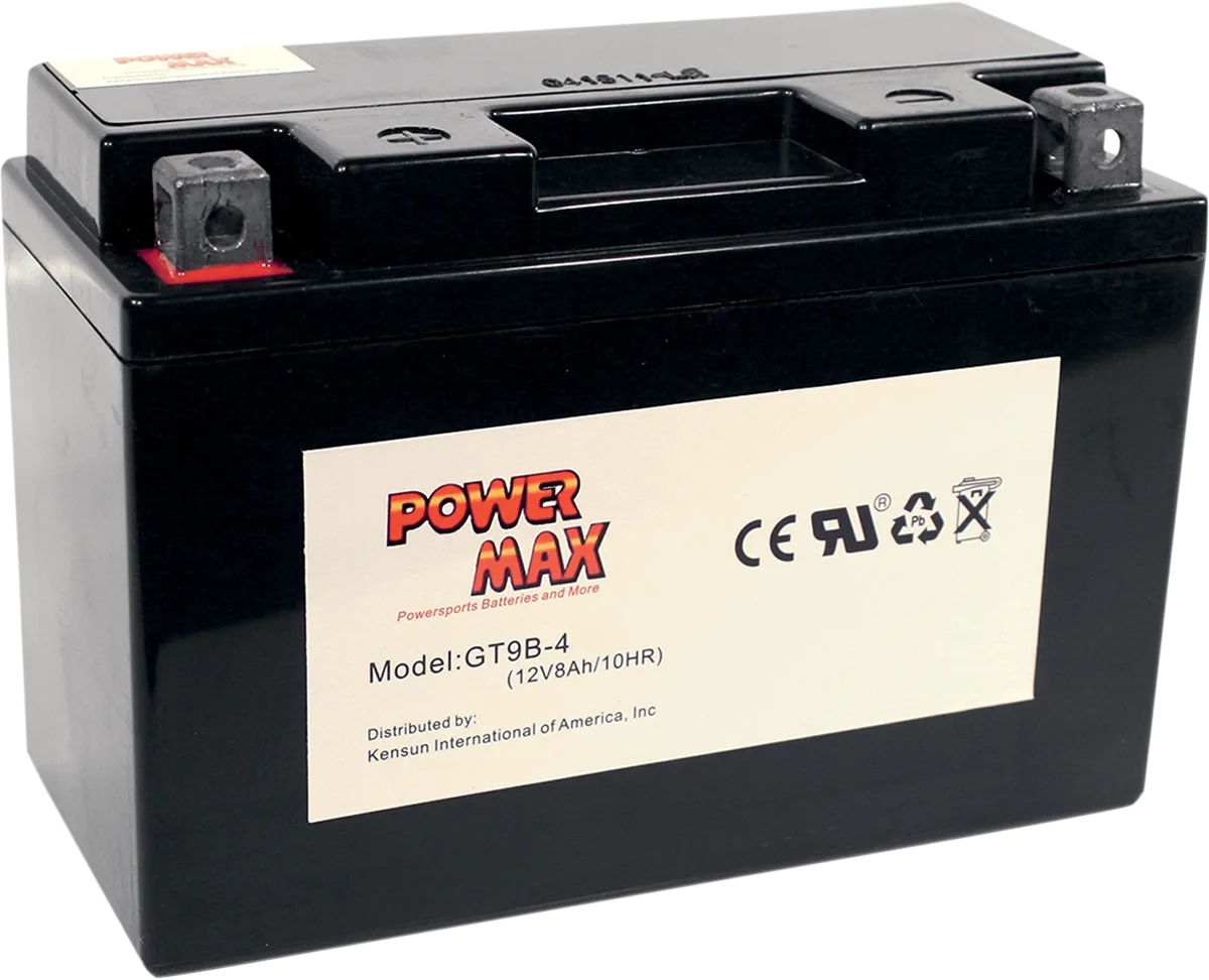 Maintenance-Free Battery