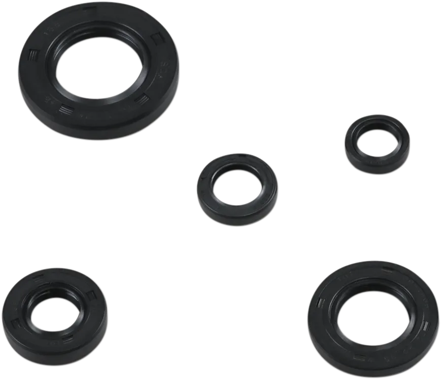 Oil Seal Kit