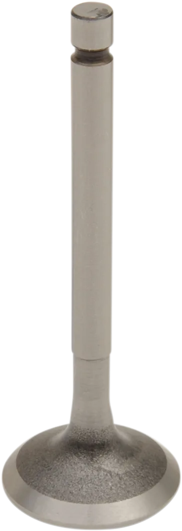 Engine Valve