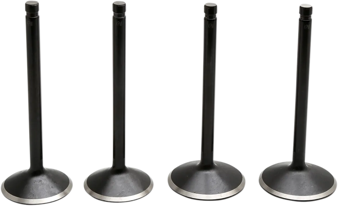 Black Diamond™ Engine Valve Kit