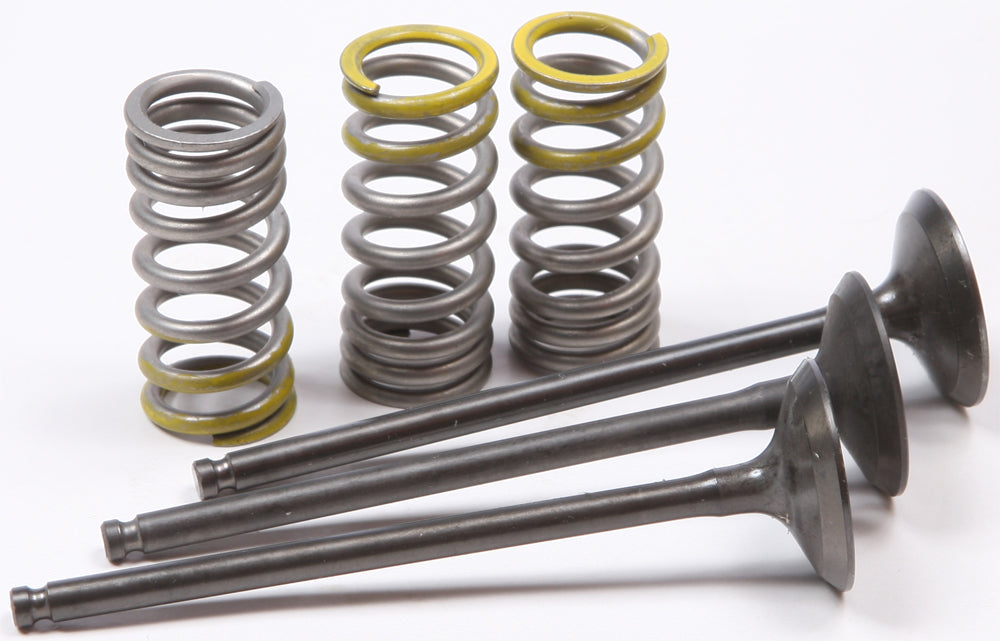 Steel Intake Spring Kit