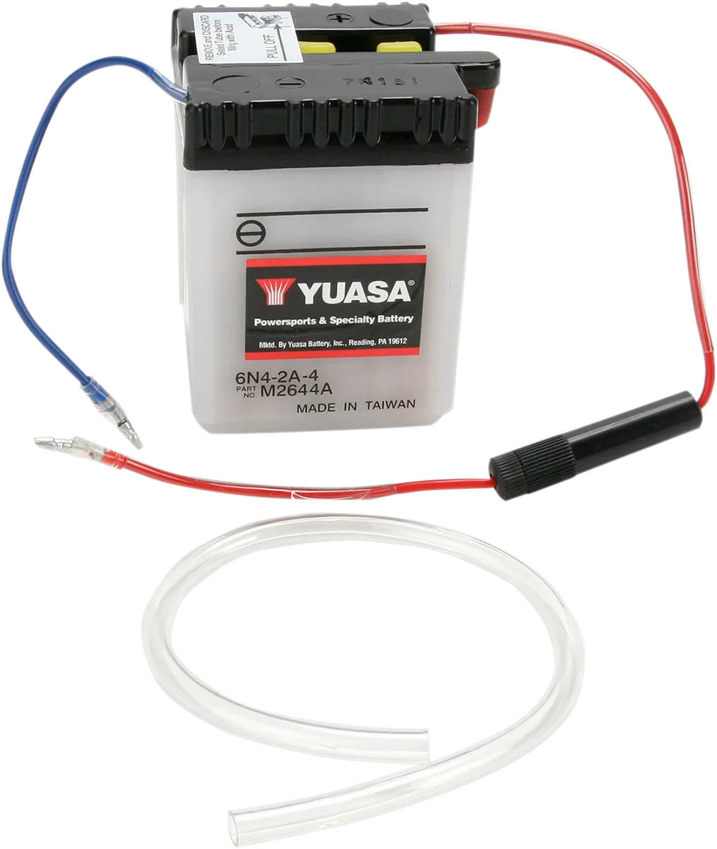 Conventional Battery — 6 V