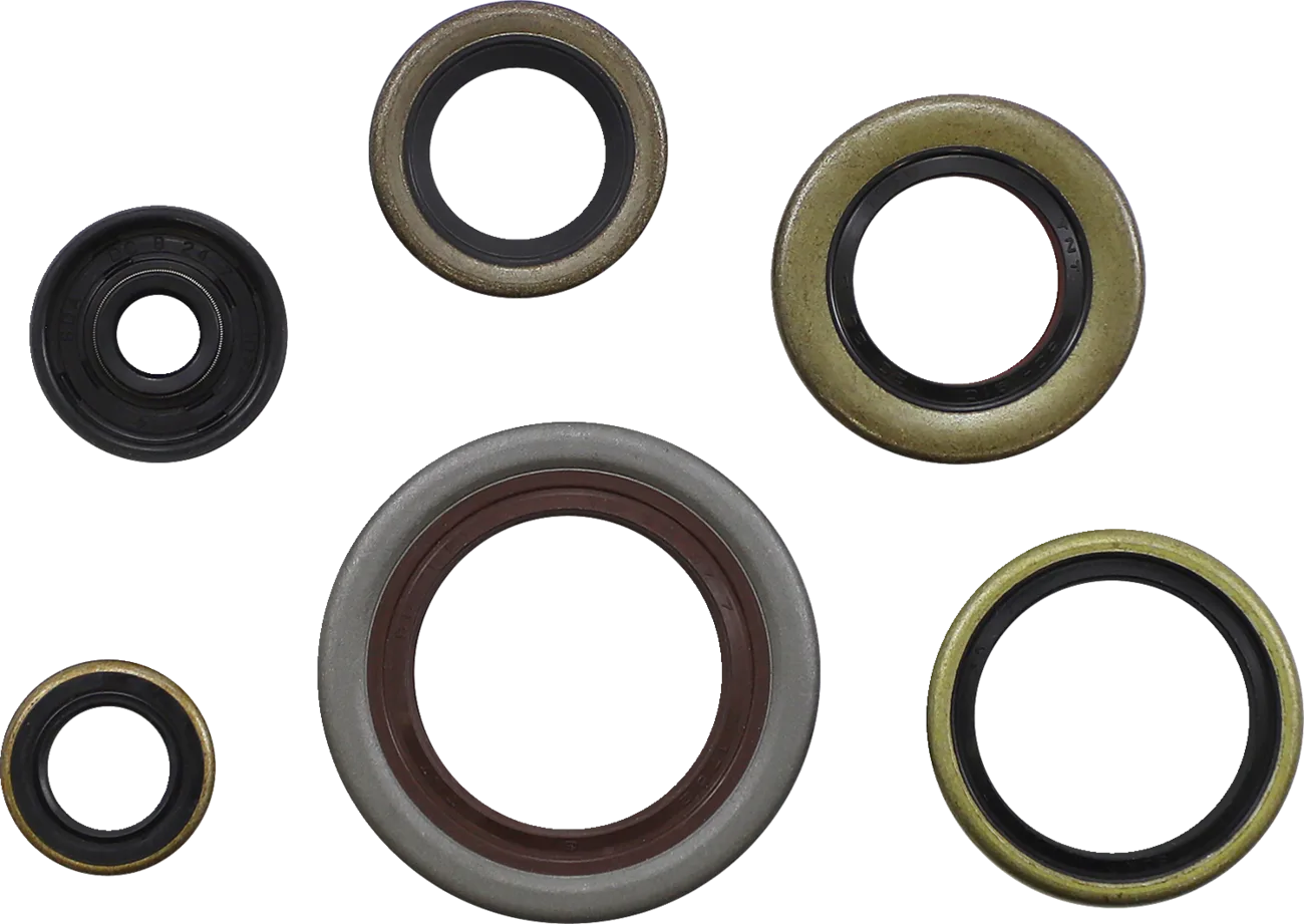 Oil Seal Kit