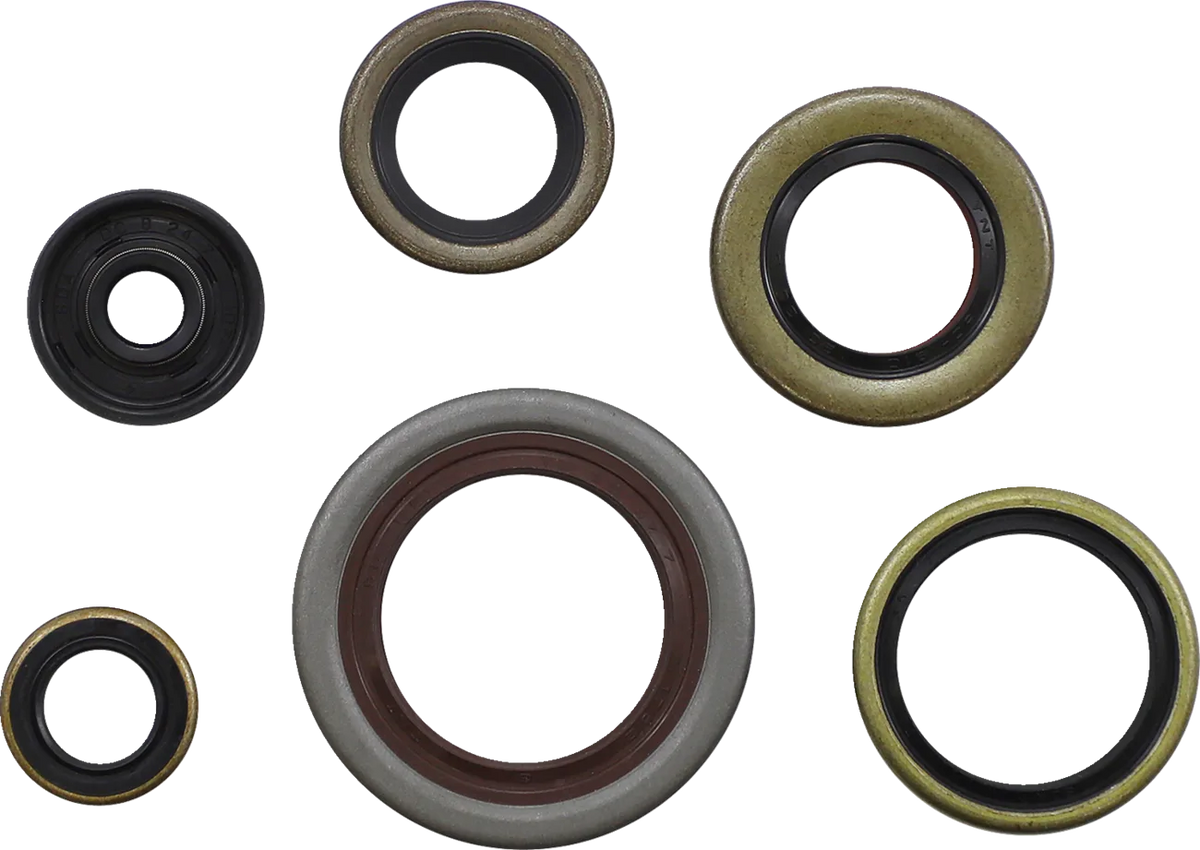 Oil Seal Kit