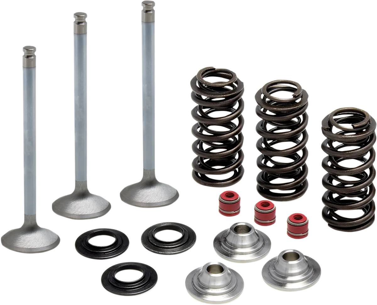 Intake Stainless Conversion Valve and Spring Kit