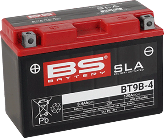 SLA Factory- Activated AGM Maintenance-Free Battery