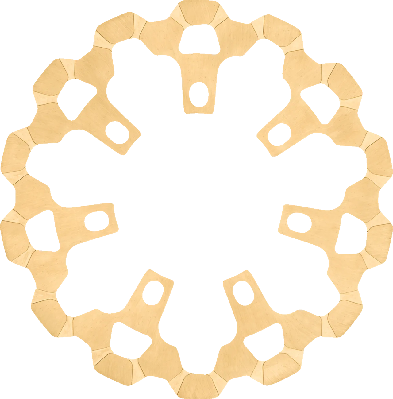 Front Brake Rotor