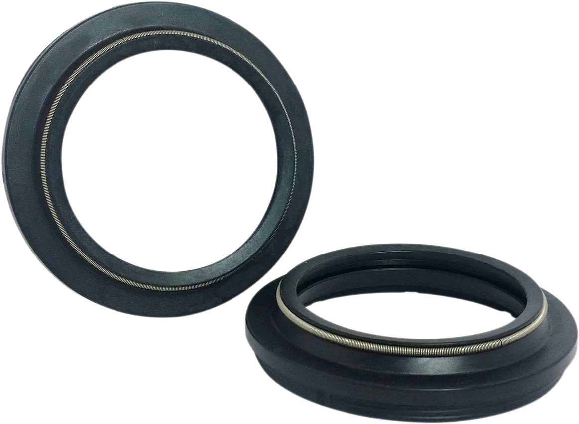Dust Seal