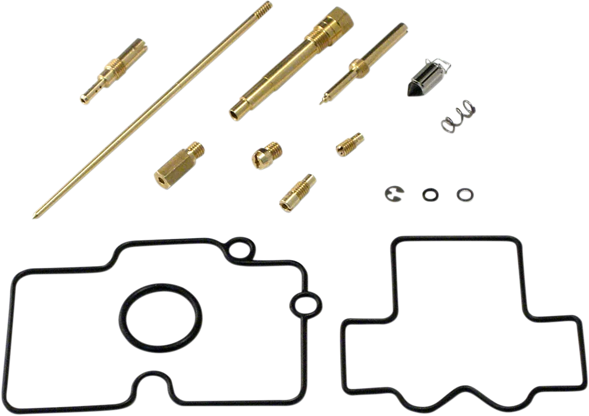 Carburetor Repair Kit