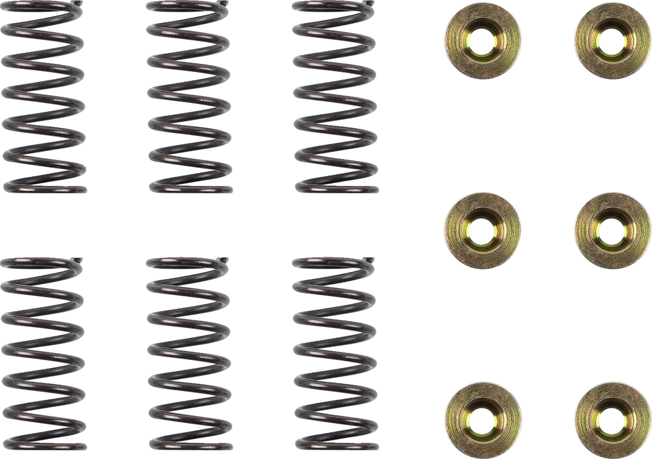 Clutch Spring Kit