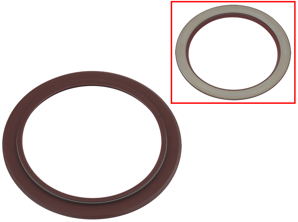 Oil Seal