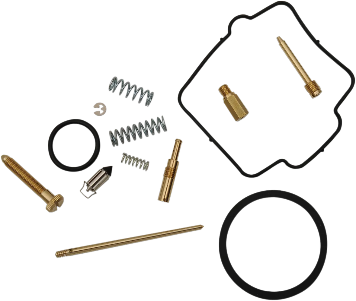 Carburetor Repair Kit