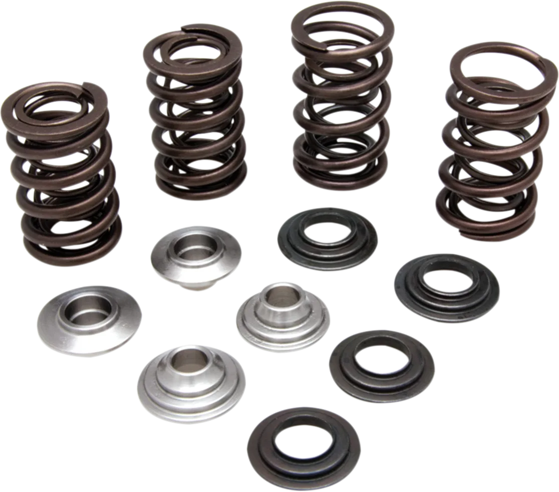 Lightweight Racing Valve Spring Kit