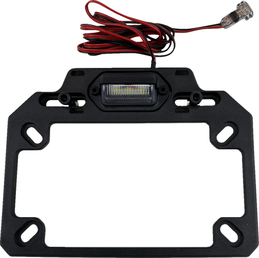 License Plate Mount
