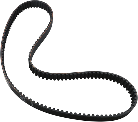 Rear Drive Belt