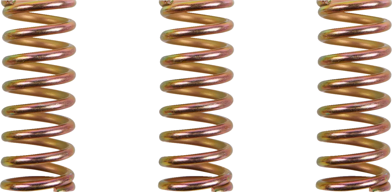 Clutch Spring Kit