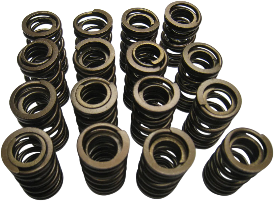 Valve Springs
