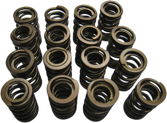 Valve Springs