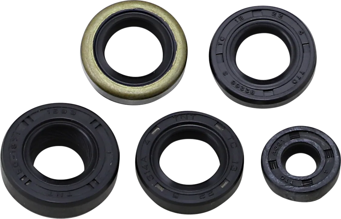 Oil Seal Kit