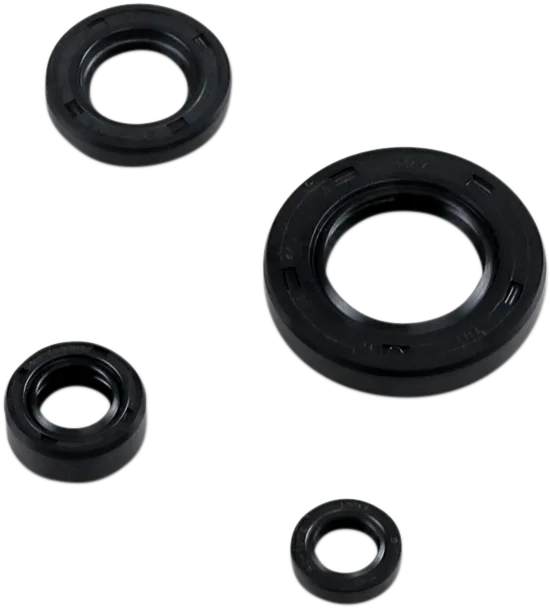 Oil Seal Kit