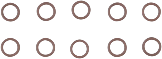 Cam Support Plate Plug O-Ring
