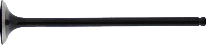 Exhaust Valve