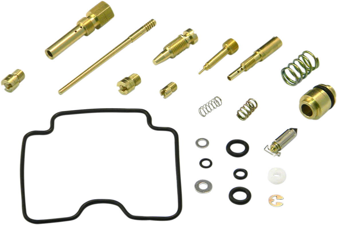 Carburetor Repair Kit
