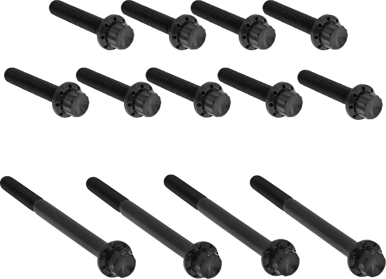 Outer Primary Cover Titanium 12-Point Bolt Kit