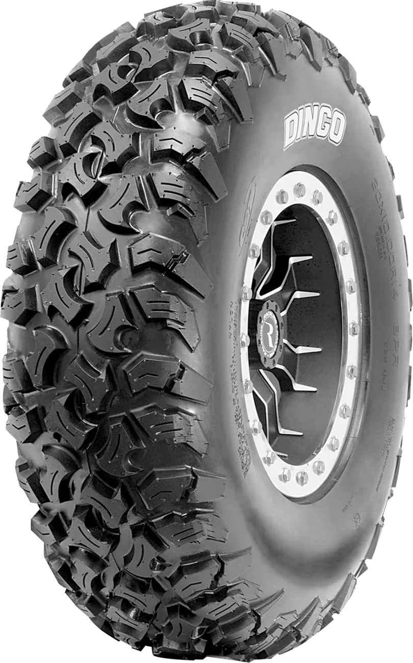 Dingo Tire
