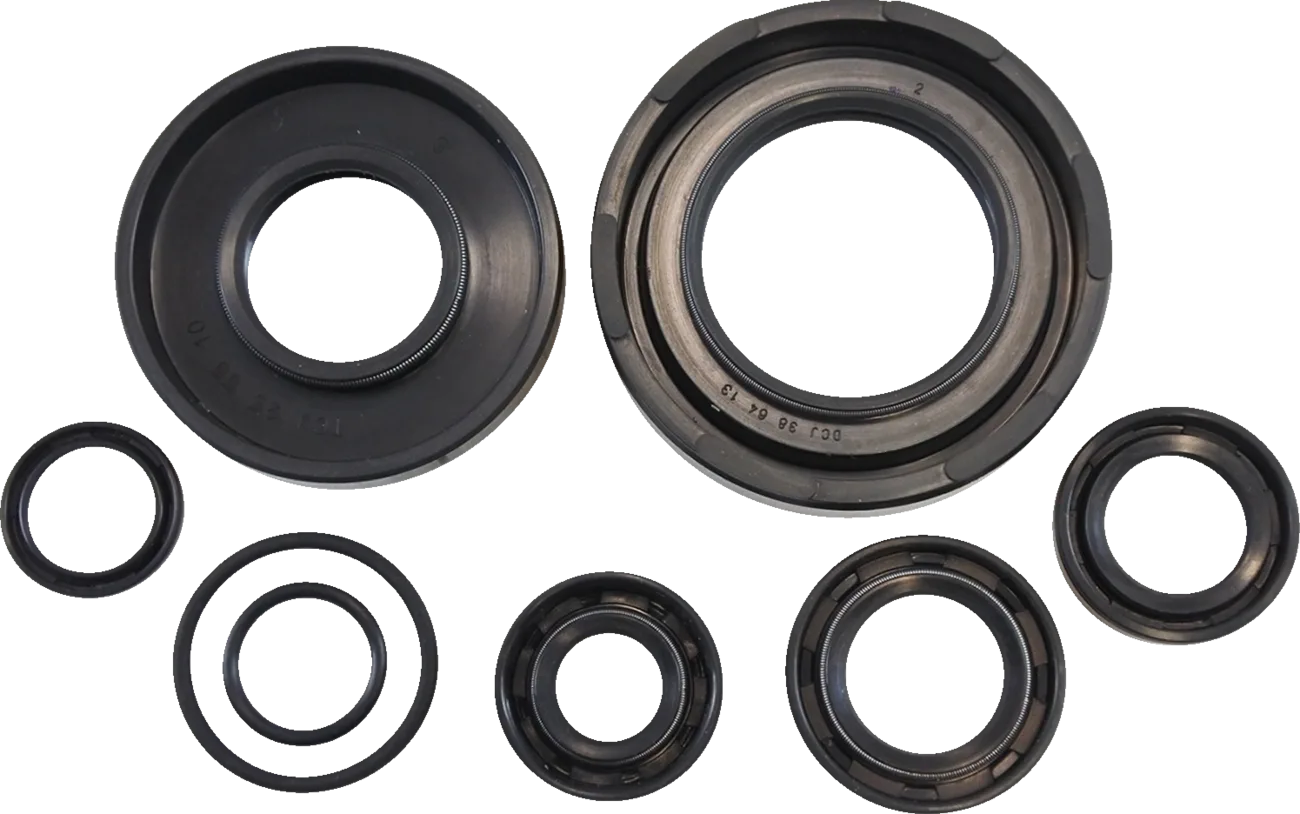 Oil Seal Kit