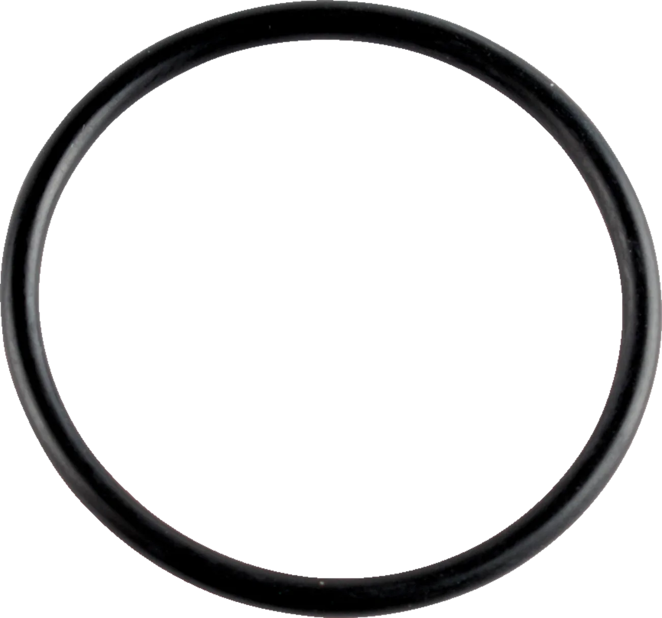 O-Ring/V-Ring