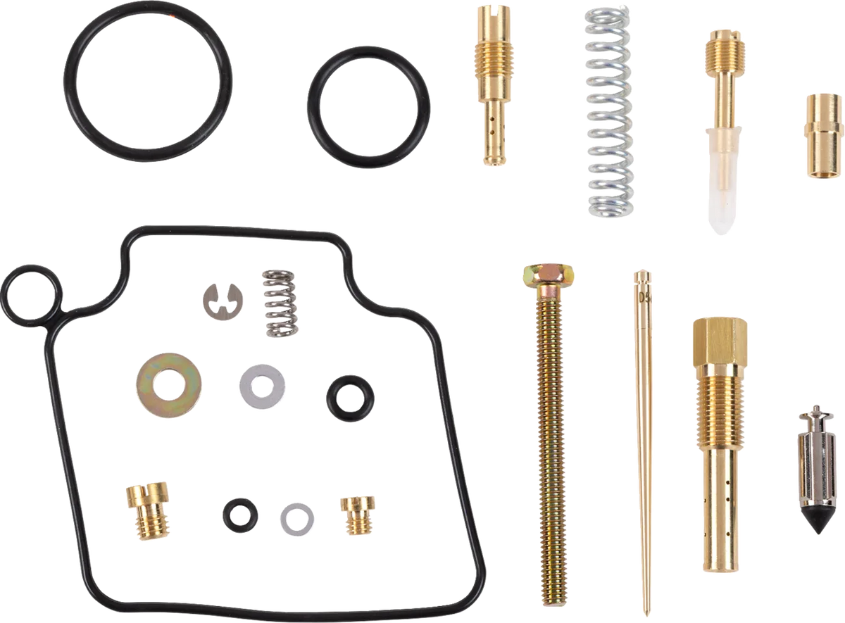 Carburetor Repair Kit