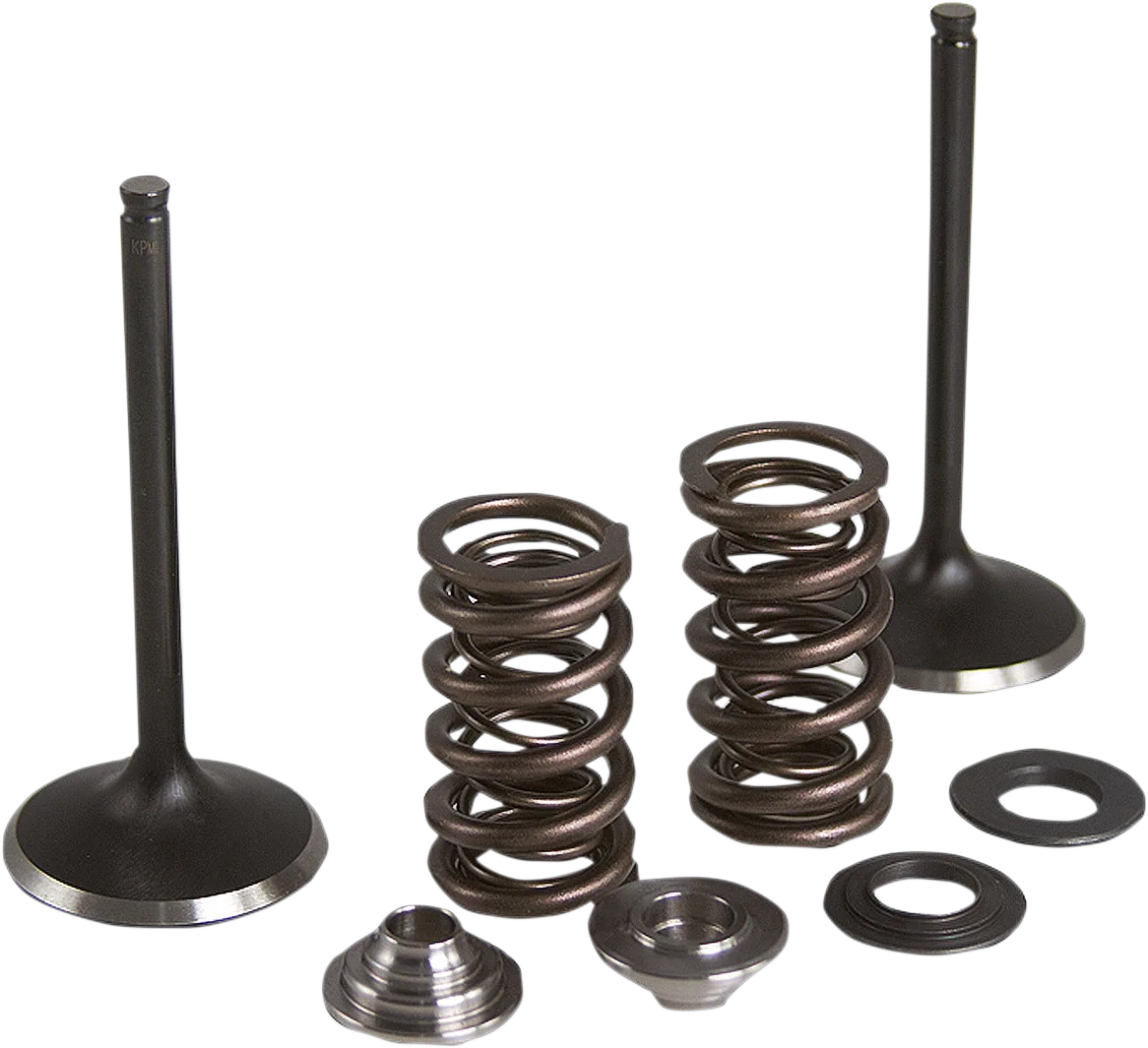 Intake Stainless Conversion Valve and Spring Kit